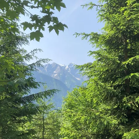 Haus Voglreiter * Капрун