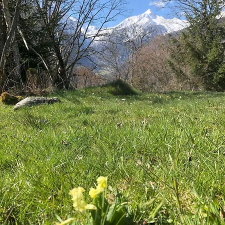 Haus Voglreiter Апартаменты