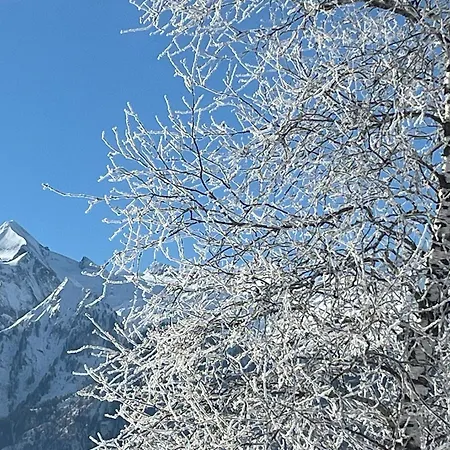 Апартаменты Haus Voglreiter Капрун