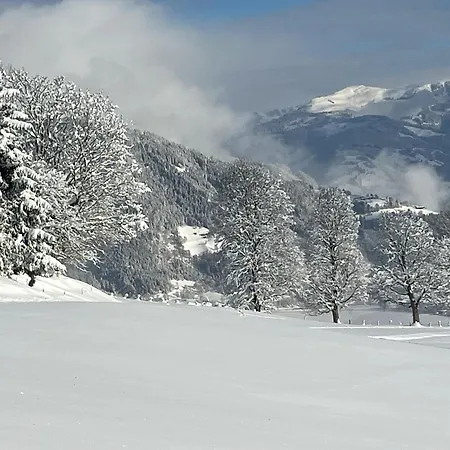 Haus Voglreiter شقة كابرون