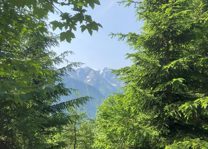 Haus Voglreiter * كابرون