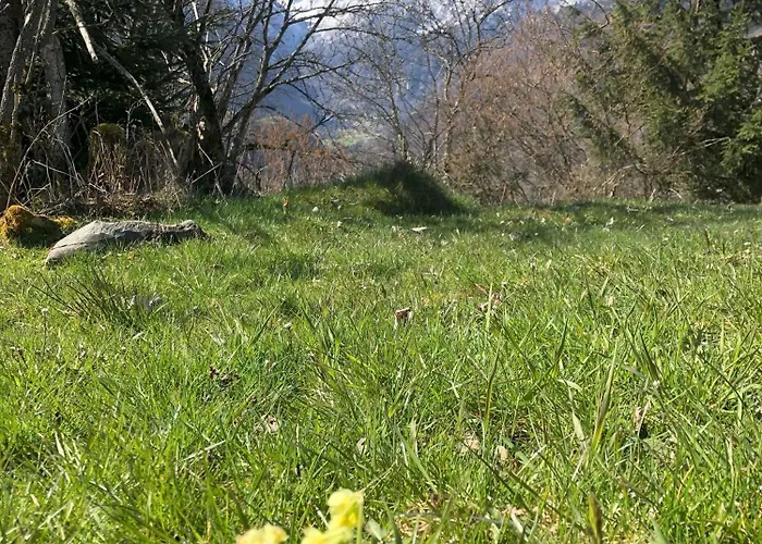 Haus Voglreiter شقة