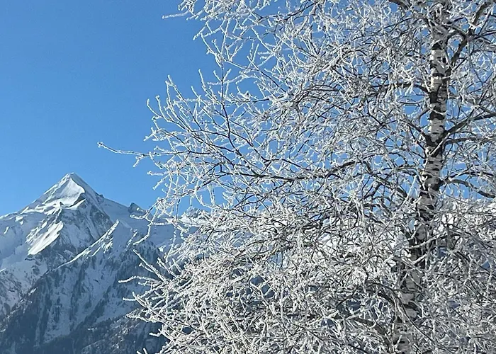 شقة Haus Voglreiter كابرون