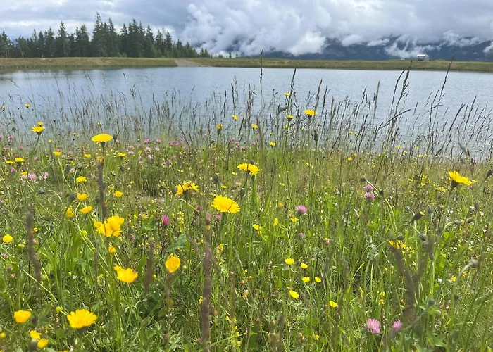 Haus Voglreiter شقة